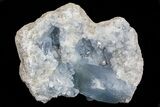Blue Celestine (Celestite) Crystal Geode - Madagascar #70826-1